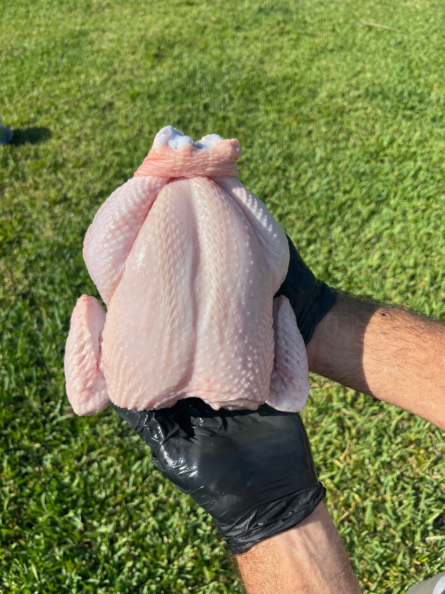 Whole Pastured Broiler Box - Door to Door Delivery