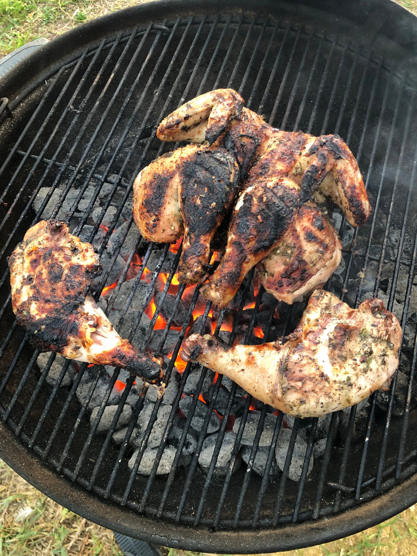 January Order 10lb Chicken Starter Bundle