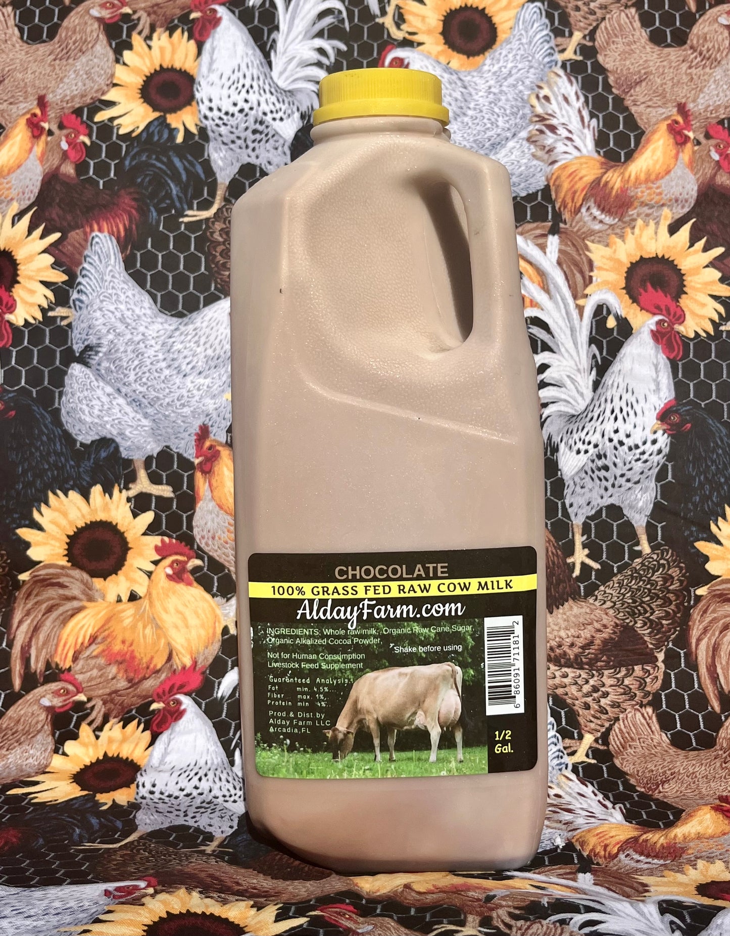 Raw Grassfed Chocolate Milk from Alday Dairy Farm