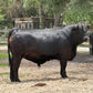 Beef Variety Bundle 50lb (1/8 Beef) - Deposit